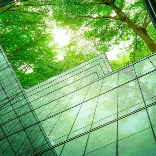 Eco-friendly building in the modern city. Sustainable glass office building with tree for reducing heat and carbon dioxide. Office building with green environment. Corporate building reduce CO2.