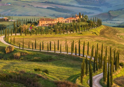 Turismo delle radici