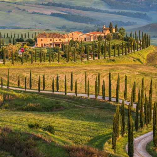 Turismo delle radici