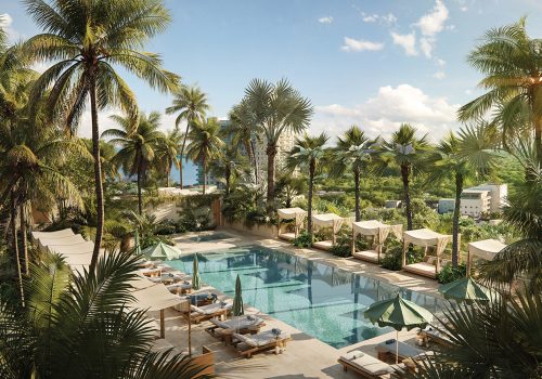 The Well Coconut Grove Terra Group Rooftop Pool Real Estate Residences