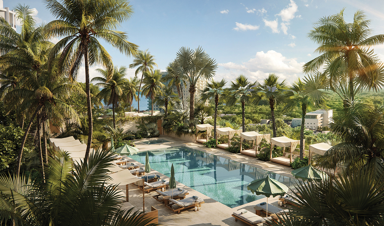 The Well Coconut Grove Terra Group Rooftop Pool Real Estate Residences